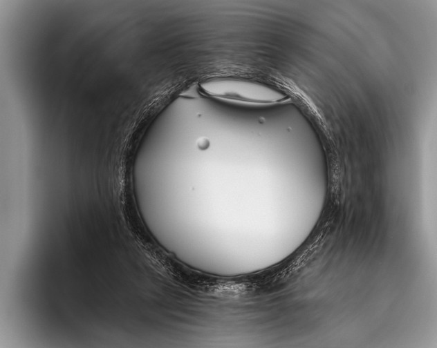 X0000096200257200802081546