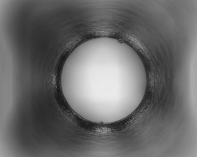 X0000096200258200802081546