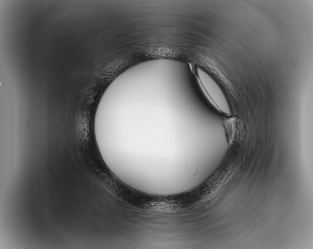 X0000096200259200802081546