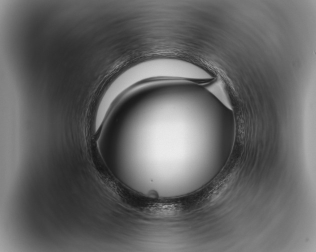 X0000096200260200802081546