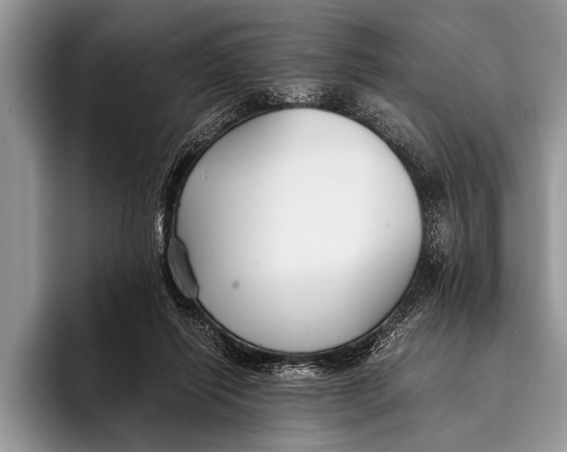 X0000096200262200802081546