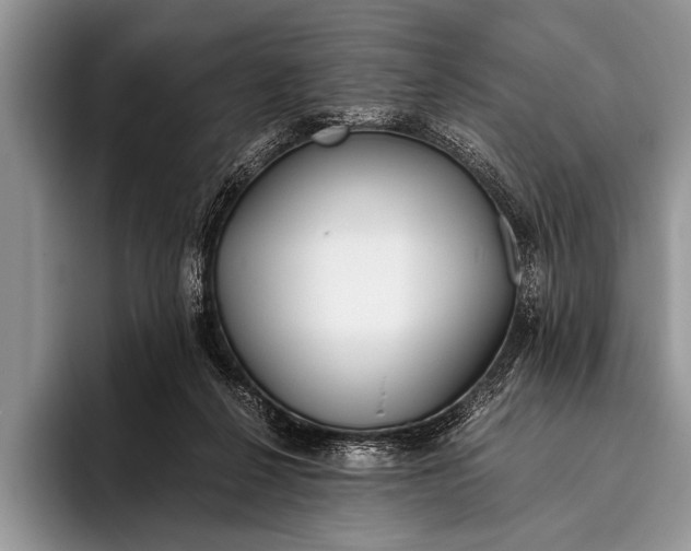 X0000096200264200802081546