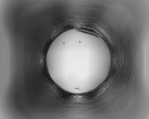 X0000096200265200802081546