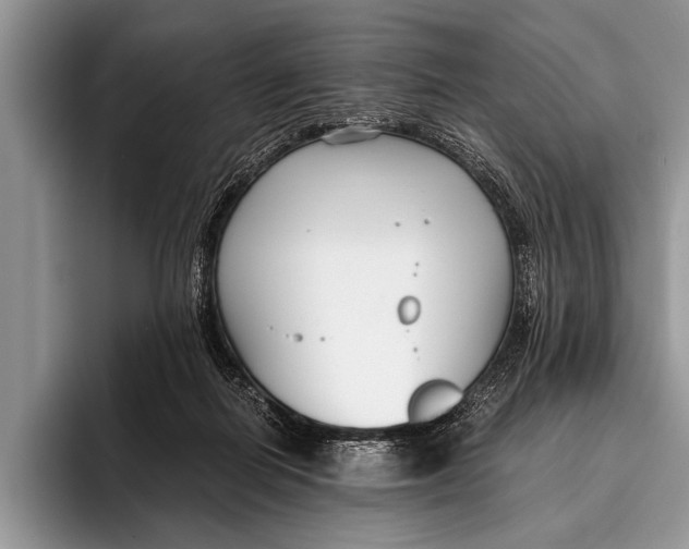 X0000096200266200802081546