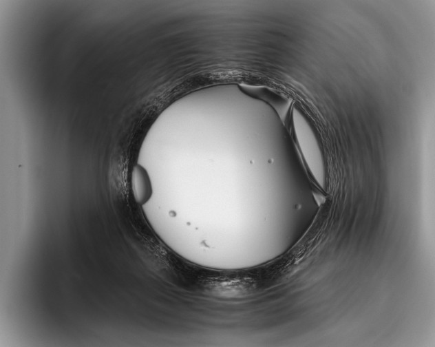 X0000096200267200802081546