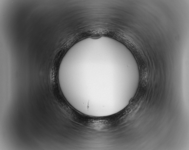 X0000096200268200802081546