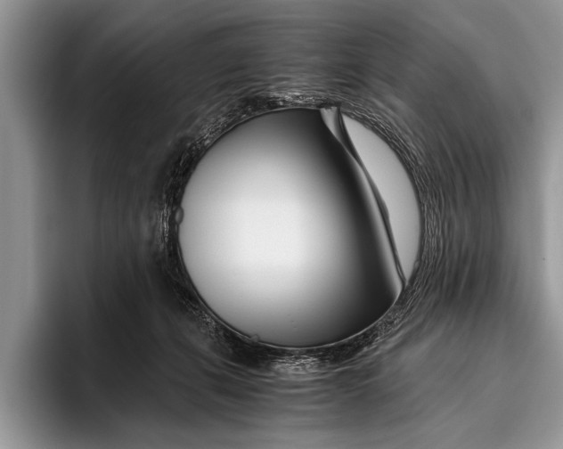 X0000096200271200802081546