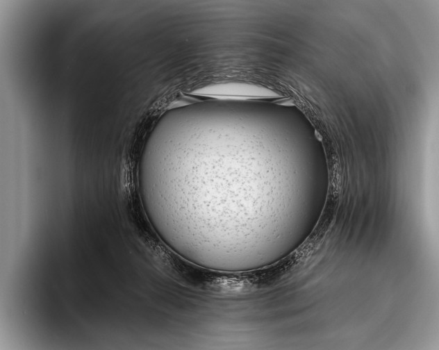 X0000096200272200802081546