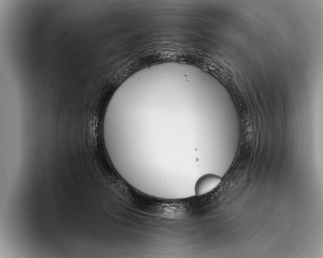 X0000096200275200802081546