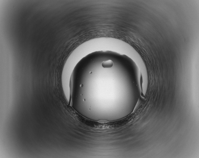 X0000096200276200802081546