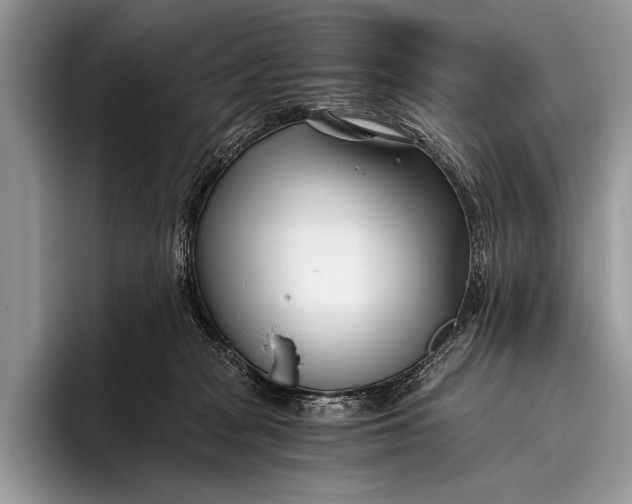 X0000096200277200802081546