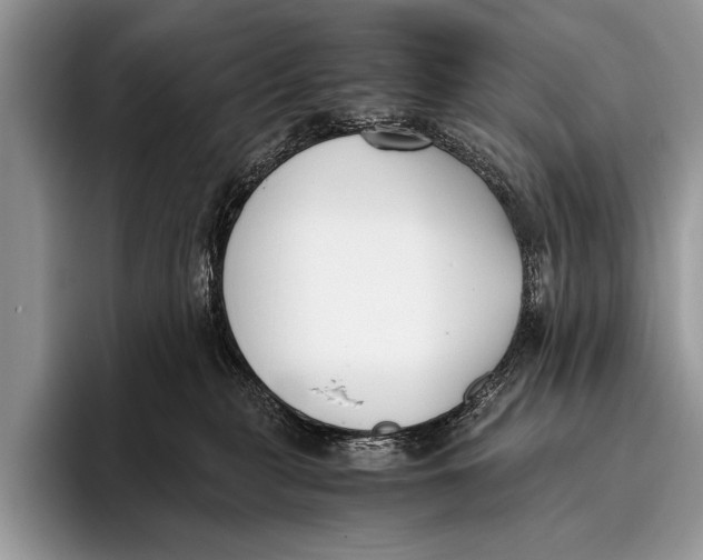 X0000096200279200802081546