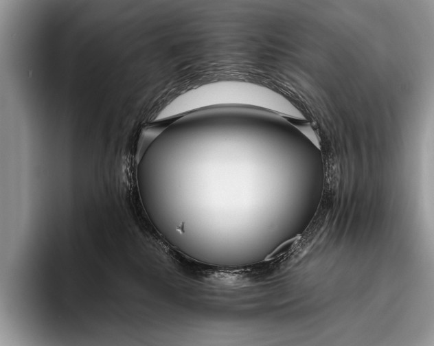 X0000096200280200802081546