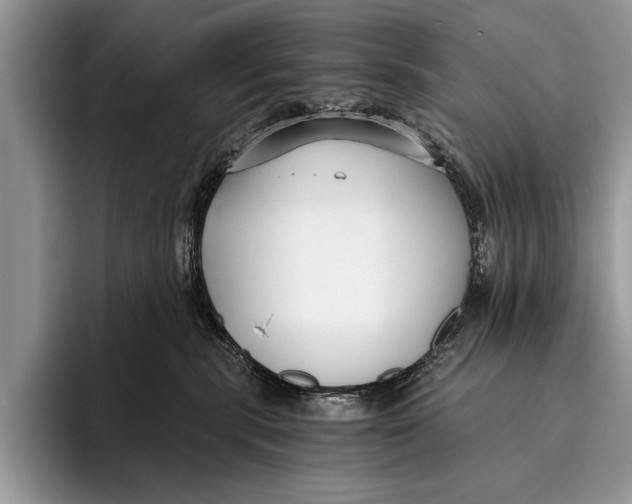 X0000096200283200802081546