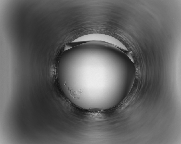 X0000096200284200802081546