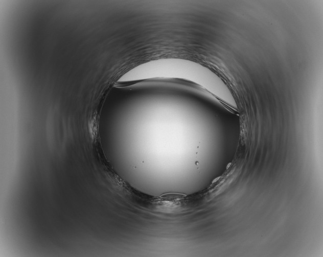 X0000096200285200802081546