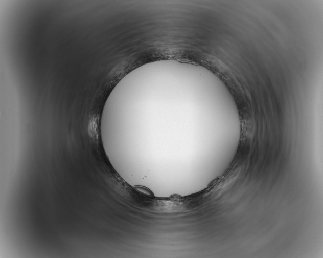 X0000096200286200802081546