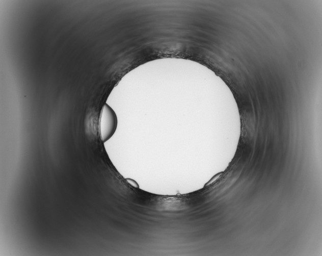 X0000096200287200802081546