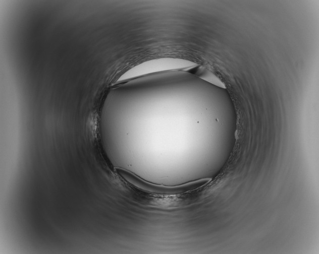 X0000096200288200802081546