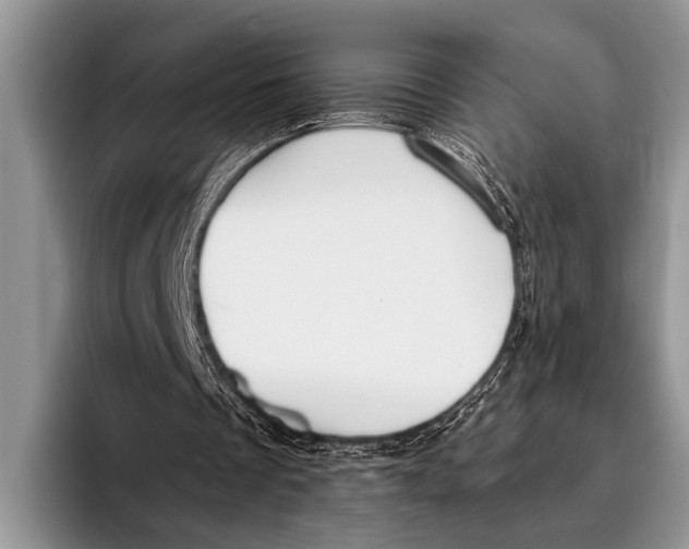 X0000096200289200802081546