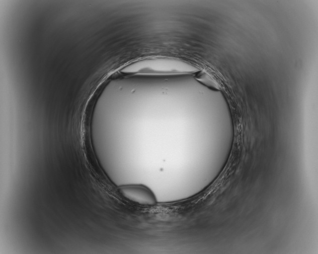 X0000096200290200802081546