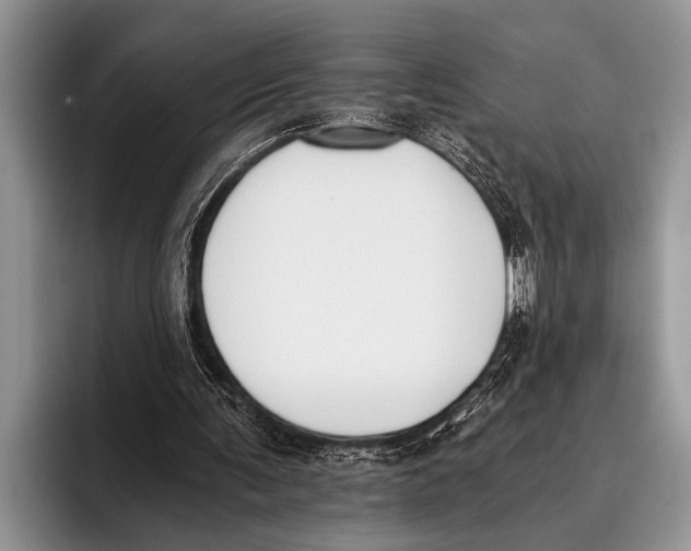 X0000096200291200802081546