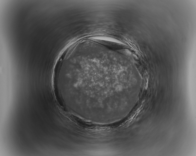 X0000096200292200802081546