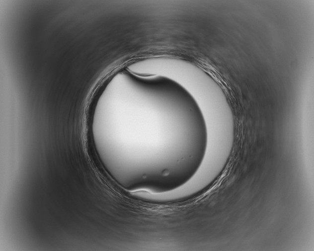 X0000096200293200802081546