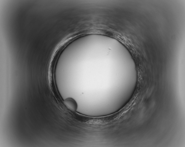 X0000096200294200802081546