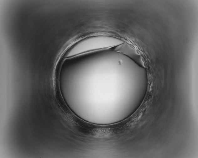 X0000096200296200802081546