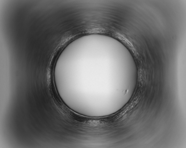 X0000096200298200802081546