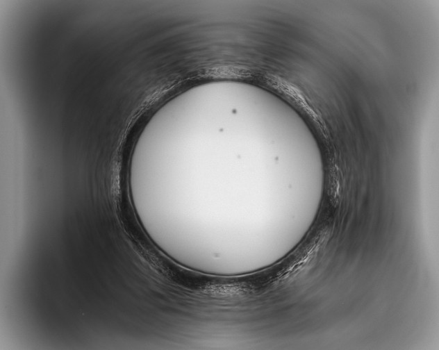 X0000096200299200802081545