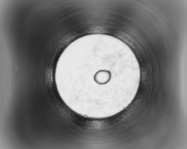 X0000096200302200802081545