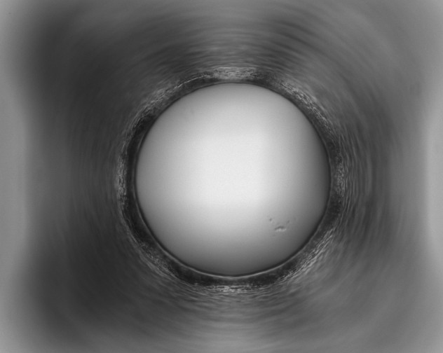 X0000096200303200802081545