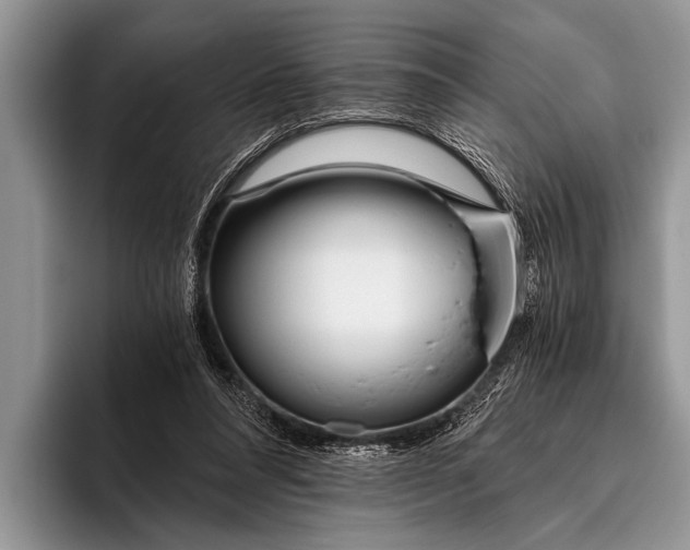 X0000096200304200802081545