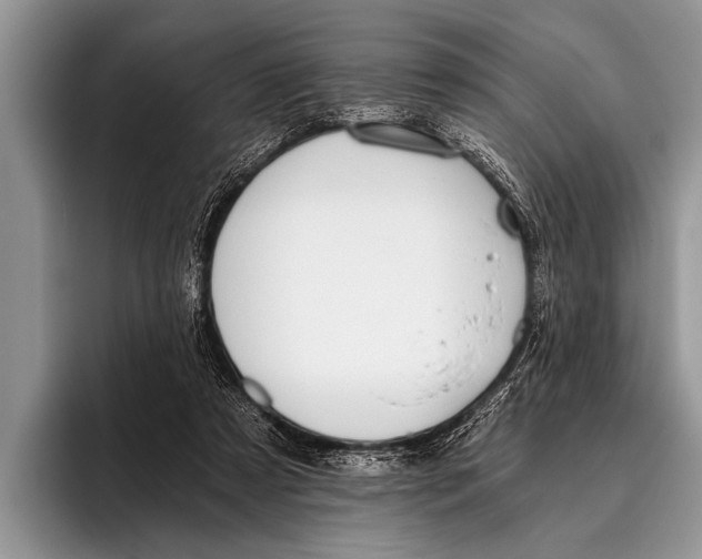 X0000096200305200802081545