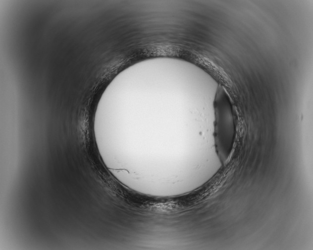 X0000096200306200802081545