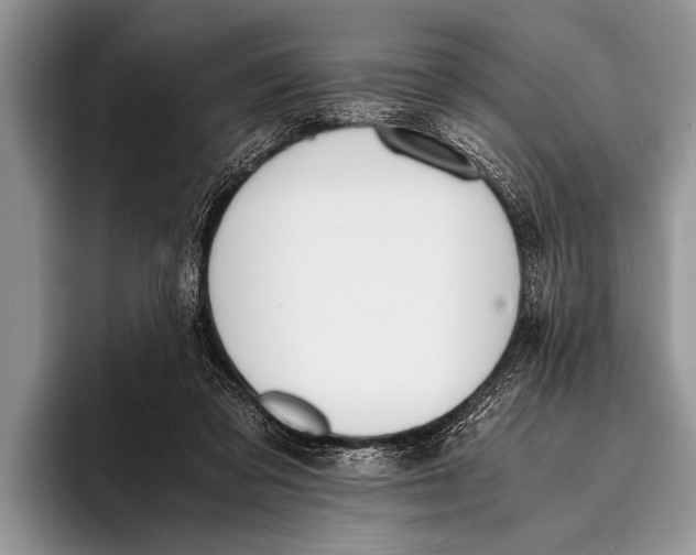 X0000096200309200802081545