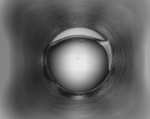 X0000096200312200802081545