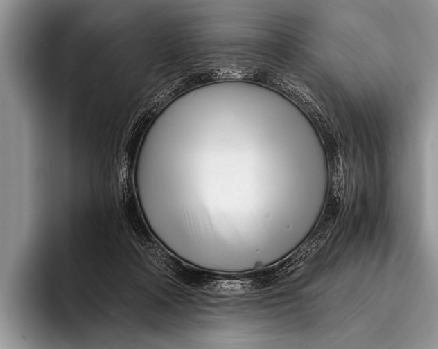 X0000096200314200802081545