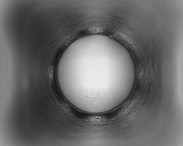 X0000096200315200802081545