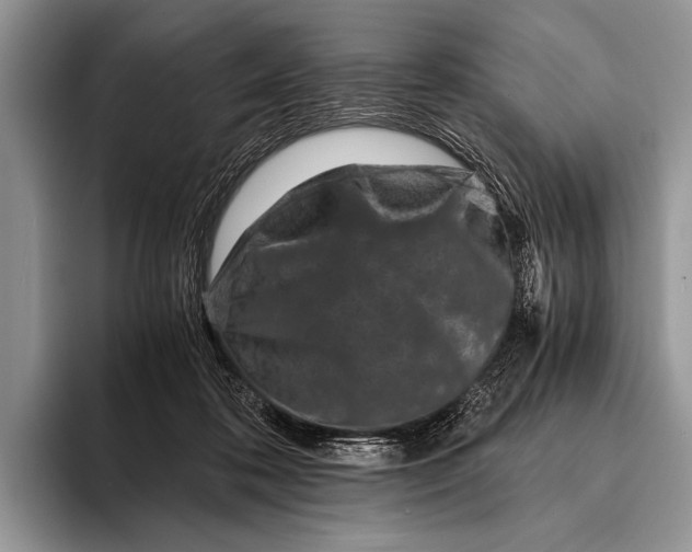 X0000096200316200802081545