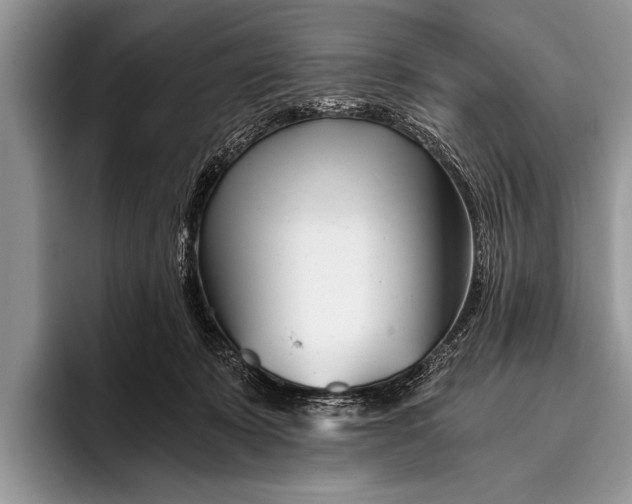 X0000096200319200802081545