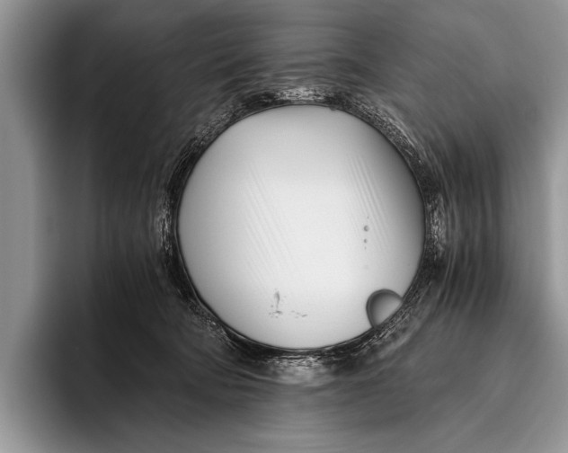 X0000096200322200802081545