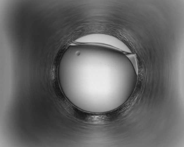 X0000096200323200802081545