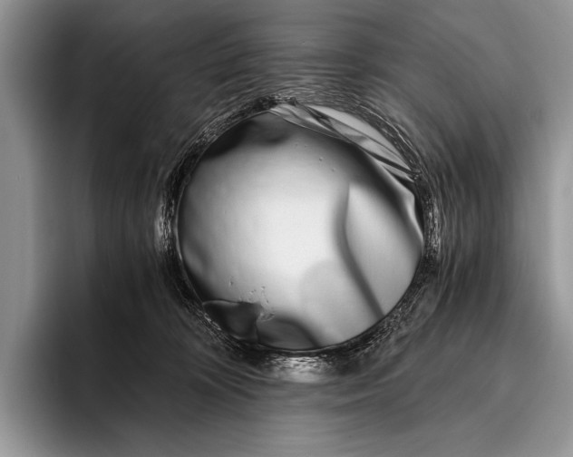 X0000096200324200802081545