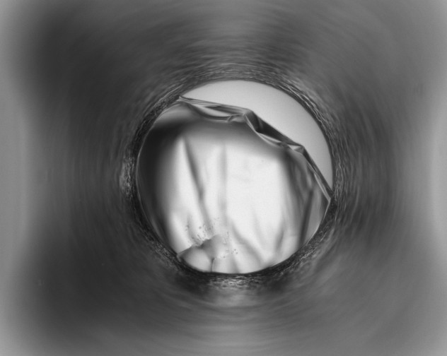 X0000096200325200802081545