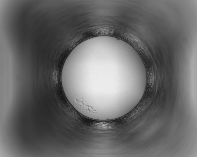 X0000096200326200802081545