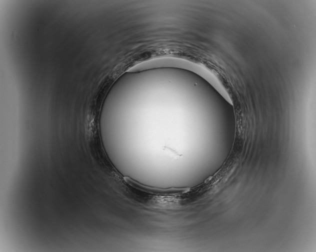 X0000096200327200802081545