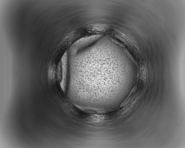 X0000096200328200802081545